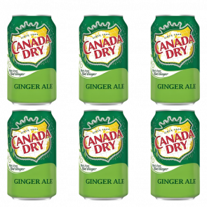 Набір Напій Canada Dry Ginger Ale 330ml 6шт - Retromagaz