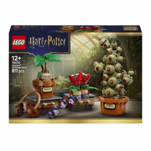 Конструктор Lego Hogwarts Herbology Plants Harry Potter 76474 Новый - Retromagaz